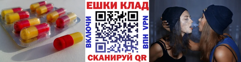Купить закладки  Светогорск  Ecstasy 99% 