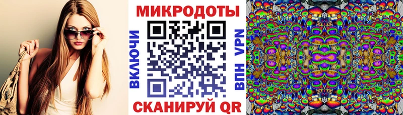 Купить  Светогорск  Псилоцибиновые грибы Psilocybe 